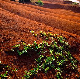 赛博朋克风爽快FPS《东京地下杀手》公布预告